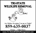 Tri-State Wildlife Management Crestview Hills, KY Squirrel Removal