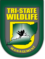 Tri-State Wildlife Management