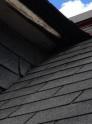 Bat Removal Cold Spring, KY - Tri-State Wildlife Management