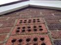 Bat Removal Ft. Wright, KY - Bat Entrypoint sizes=
