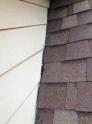 Bat Removal 41011 Covington, KY