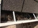 Bat Removal Villa Hills, KY - Bat Guano  /></a><p id=